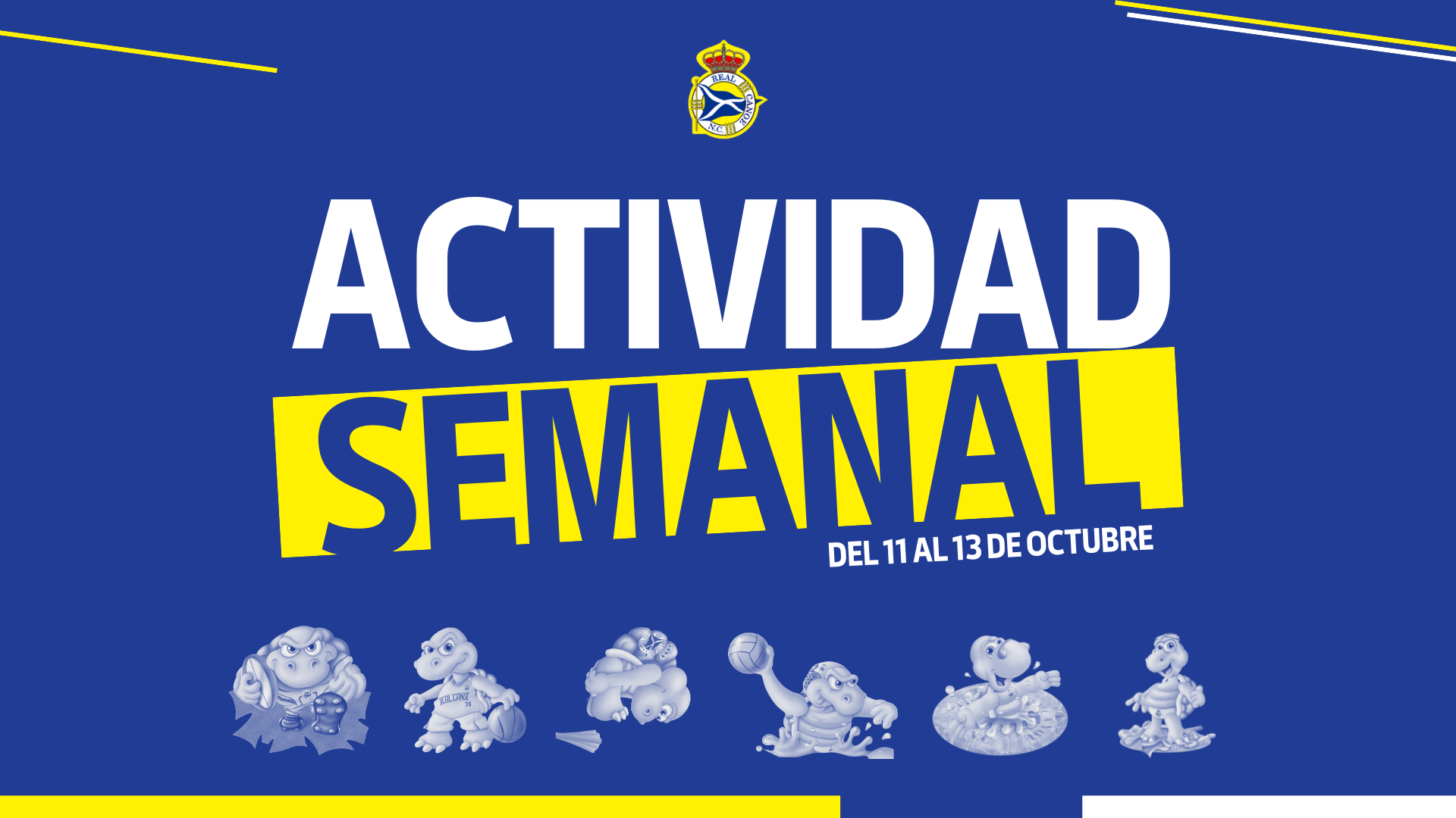 actividad 11 13 oct